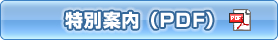 ���ʈē�(PDF)